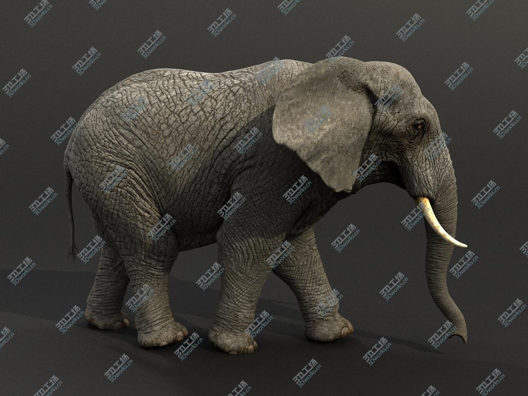 images/goods_img/2021040232/Elephant Rigged/3.jpg